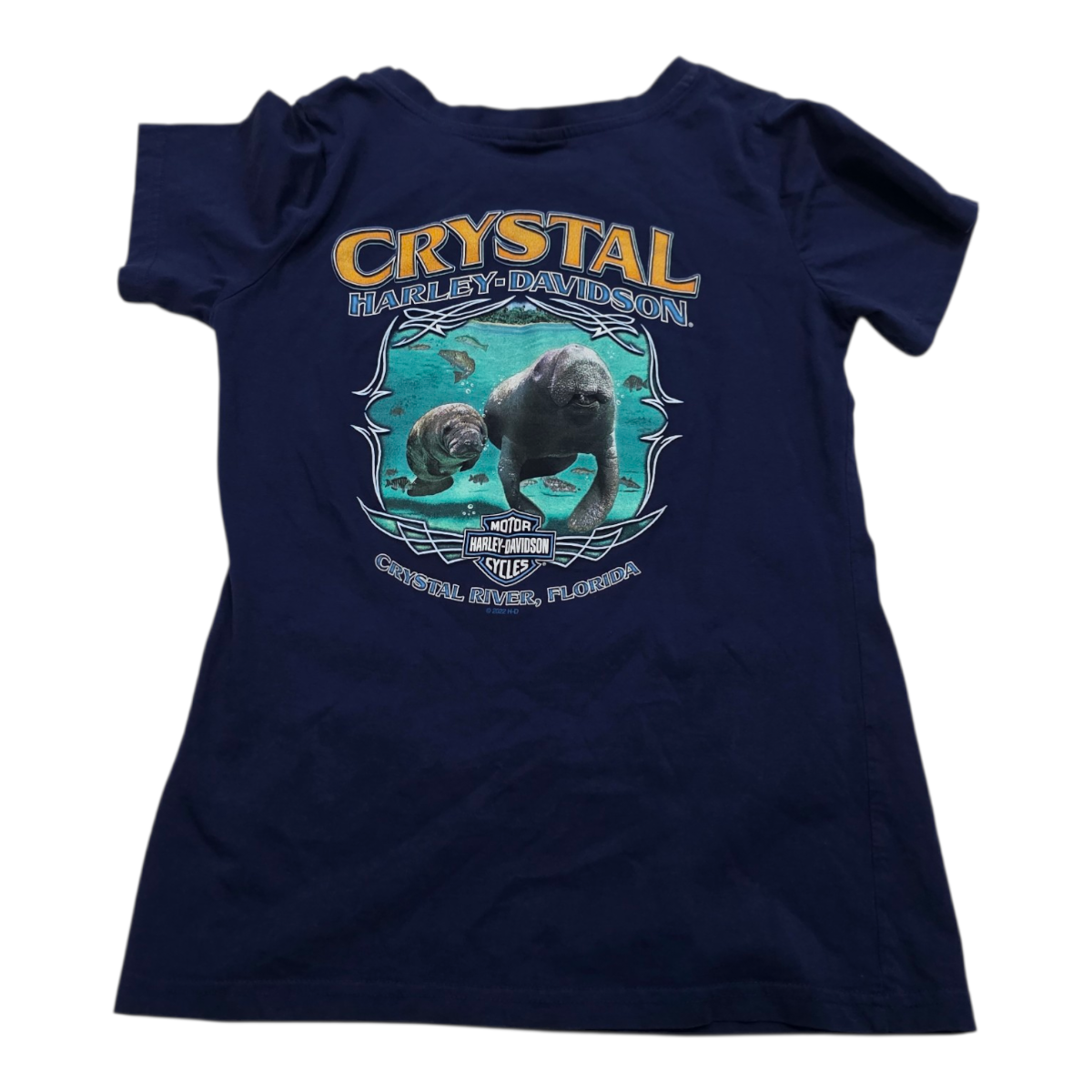 Playera Harley Davidson Azul Manga Corta Extra Chico Mujer