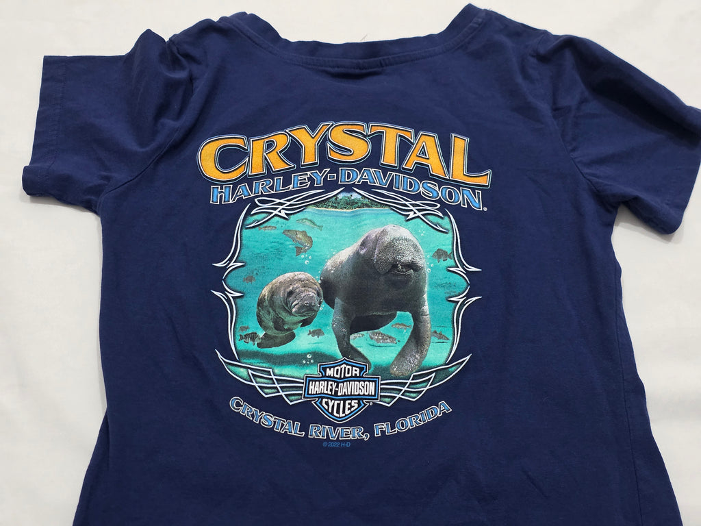 Playera Harley Davidson Azul Manga Corta Extra Chico Mujer