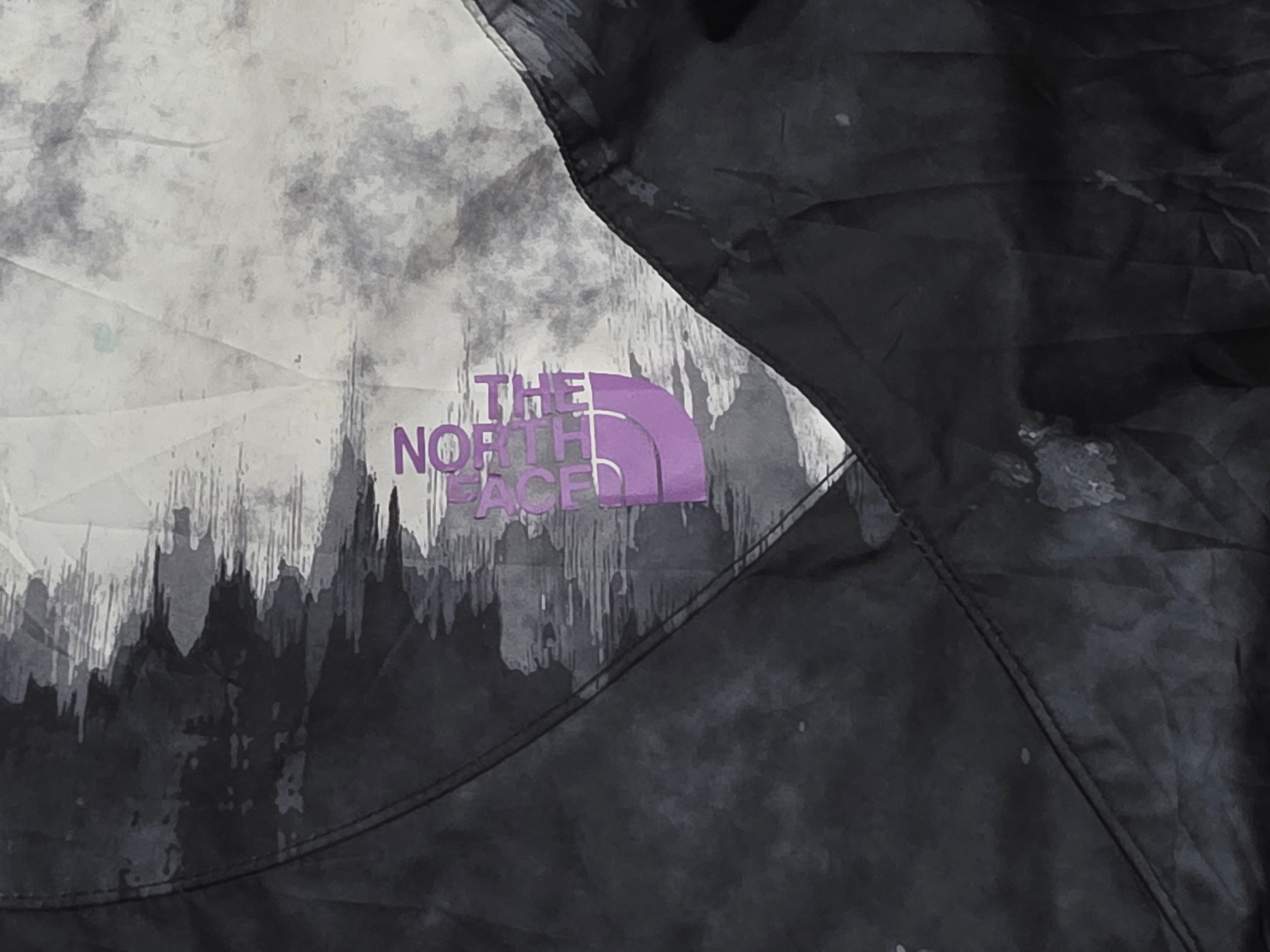 Rompevientos The North Face Gris/negro Talla Chica