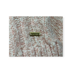 Sueter Tommy Hilfiger Mediana M Rosa Claro