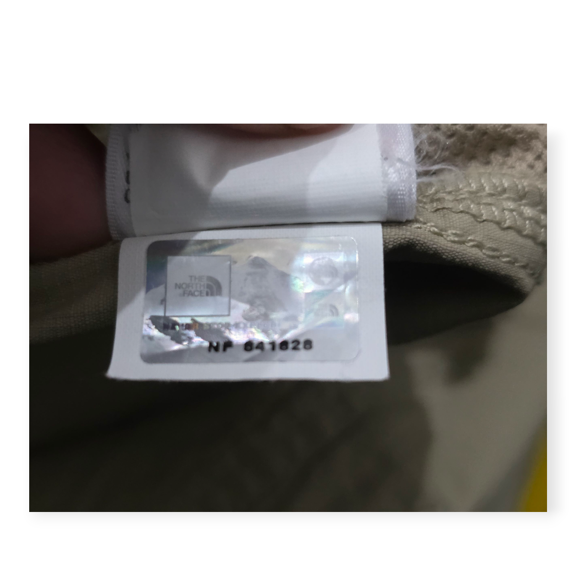 Short The North Face De Mujer Talla 4 Regular Color Cafe