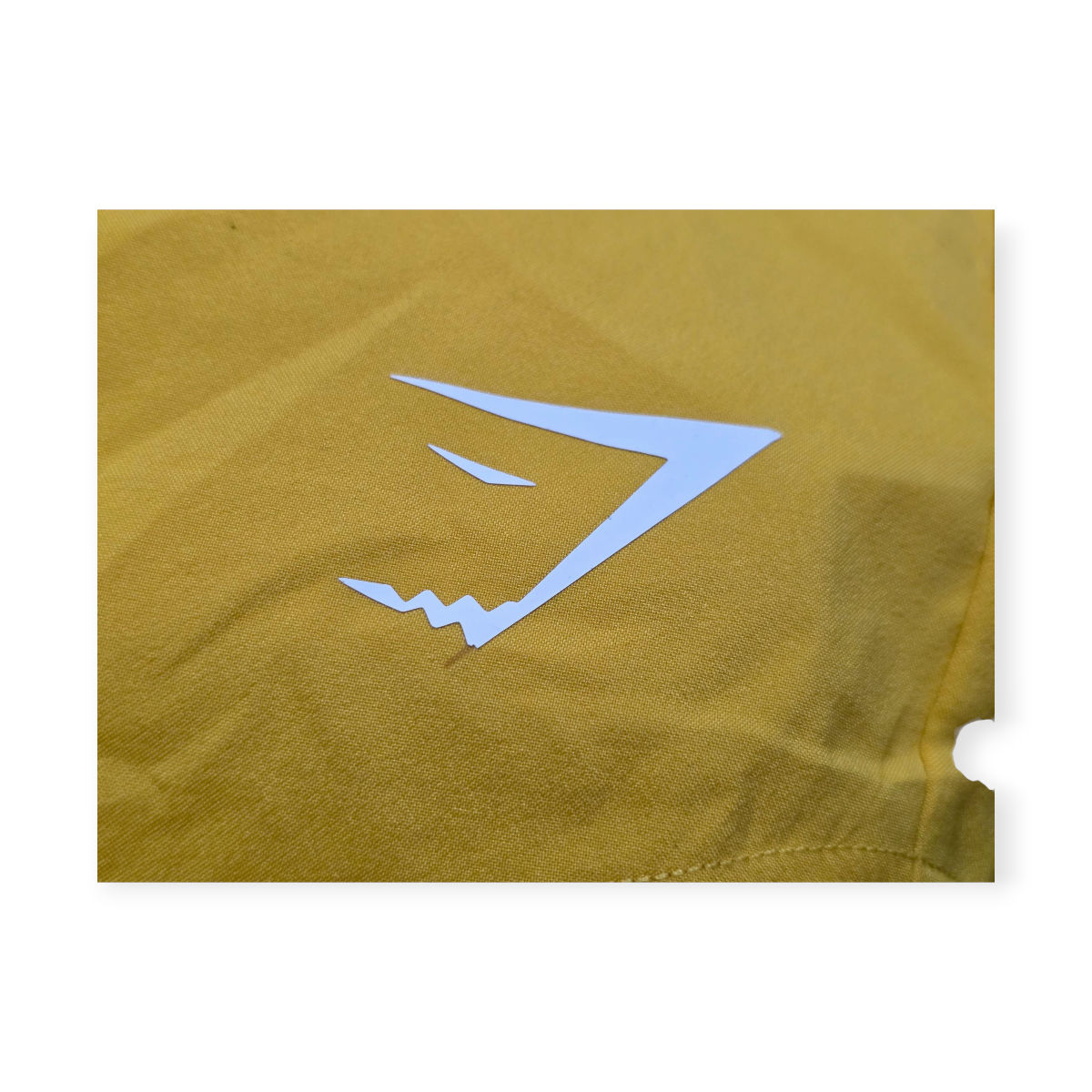 Short Gymshark Mediano M Amarillo De Mujer